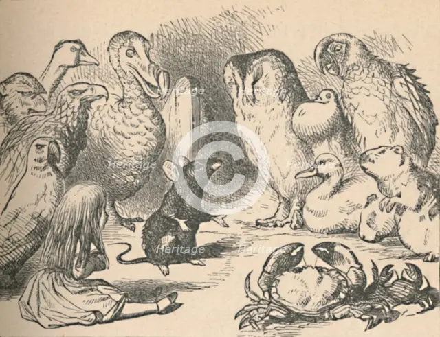 'Illustration for the chapter 'a Caucus-Race and a long tail'. Alice and various creatures, such as  Artist: John Tenniel.