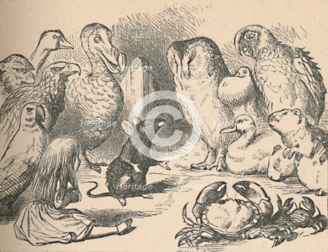 'Illustration for the chapter 'a Caucus-Race and a long tail'. Alice and various creatures, such as  Artist: John Tenniel.