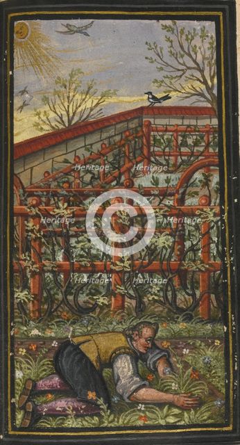 Illustration for The wonderful summer time of eternal life von Jacob Zader, 1603. Artist: Anonymous  