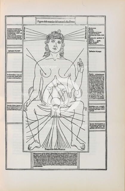 Illustration from "Fasciculo di medicina" by Johannes de Ketham, 1493. Creator: Anonymous.