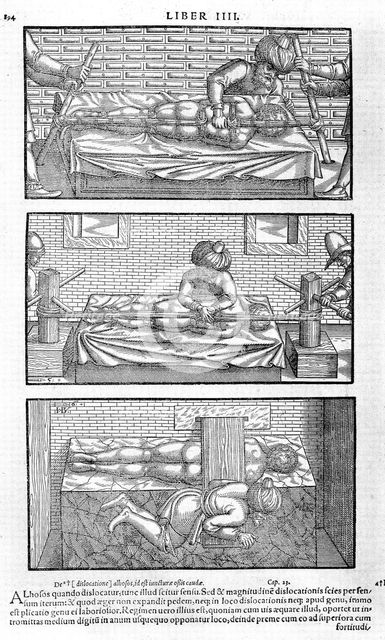 Illustration from Liber canonis de medicinis cordialibus by Avicenna, 1556. Artist: Anonymous  