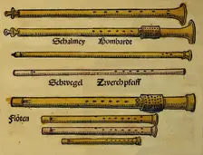 Illustration from Musica getutscht by Sebastianus Virdung, 1511. Artist: Virdung, Sebastian (1465-?)