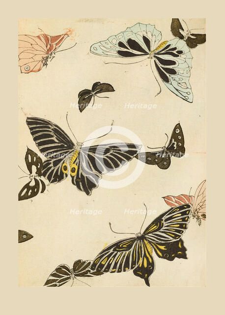 Illustration from "Shin bijutsukai", 1901-1902. Creators: Sekka, Kamisaka (1866-1942), Korin, Furuya (1875-1910)