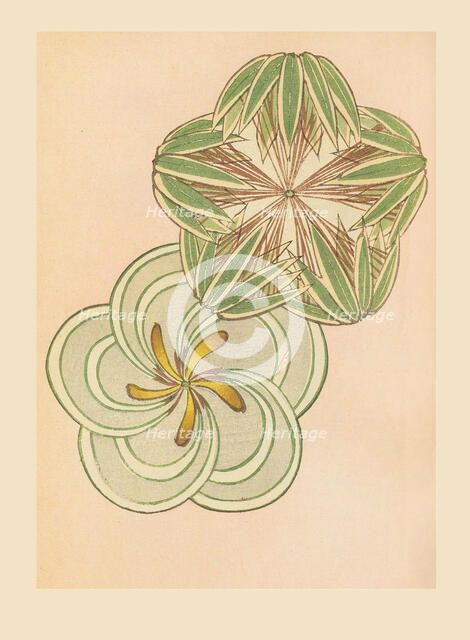 Illustration from "Shin bijutsukai", 1901-1902. Creators: Sekka, Kamisaka (1866-1942), Korin, Furuya (1875-1910)