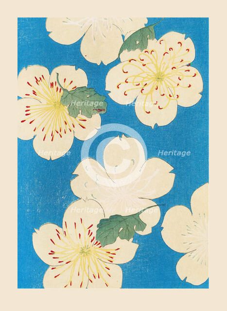 Illustration from "Shin bijutsukai", 1901-1902. Creators: Sekka, Kamisaka (1866-1942), Korin, Furuya (1875-1910)