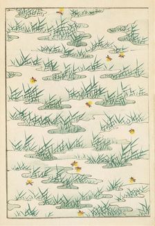 Illustration from "Shin bijutsukai", 1901-1902. Creators: Sekka, Kamisaka (1866-1942), Korin, Furuya (1875-1910)