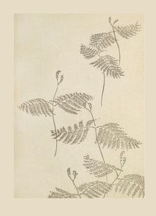 Illustration from "Shin bijutsukai", 1901-1902. Creators: Sekka, Kamisaka (1866-1942), Korin, Furuya (1875-1910)