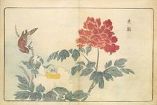 Illustration from "Pictures of Imported Birds", 1790. Creator: Kitao, Masayoshi (1764-1824)