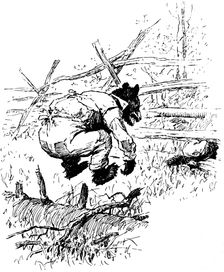 Illustration from the book The Complete Tales of Uncle Remus, by Joel Chandler Harris, 1895. Artist: AB Frost