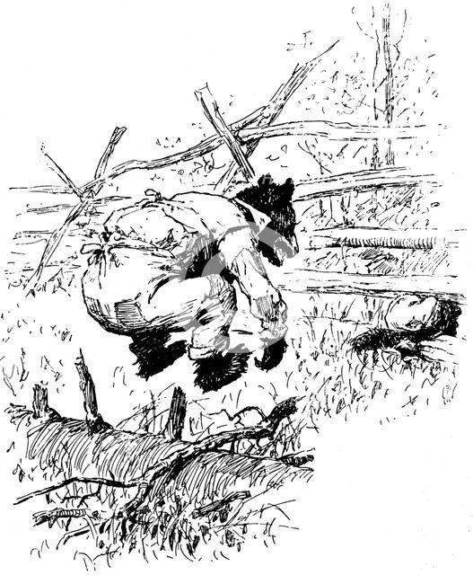 Illustration from the book The Complete Tales of Uncle Remus, by Joel Chandler Harris, 1895.  Artist: AB Frost