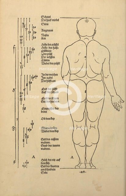 Illustration from the Four Books on Human Proportion, 1528. Creator: Dürer, Albrecht (1471-1528).