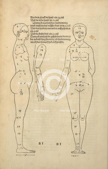 Illustration from the Four Books on Human Proportion, 1528. Creator: Dürer, Albrecht (1471-1528).