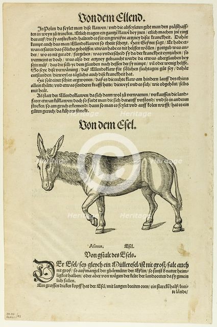 Illustration from "Thierbuch", plate 42 from Woodcuts from Books of the XVI Century...1937. Creators: Hans Asper, Max Geisberg.