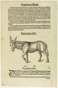 Illustration from "Thierbuch", plate 42 from Woodcuts from Books of the XVI Century...1937. Creators: Hans Asper, Max Geisberg