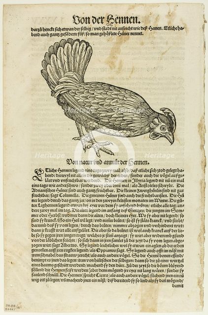 Illustration from "Vogelbuch", plate 41 from Woodcuts from Books of the XVI Century,...1937. Creators: Unknown, Max Geisberg.