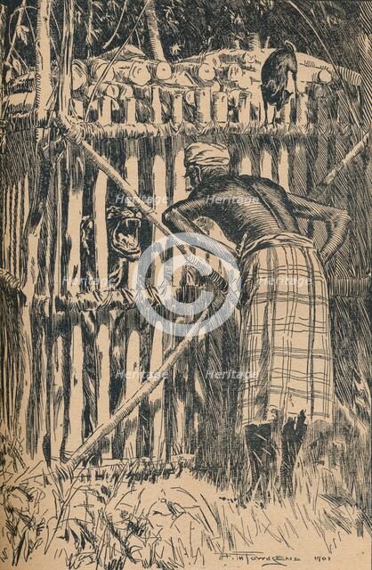 'Illustration to Skeat's Fables and Folk Tales from An Eastern Forest',1901. Artist: Frederick Henry Townsend.