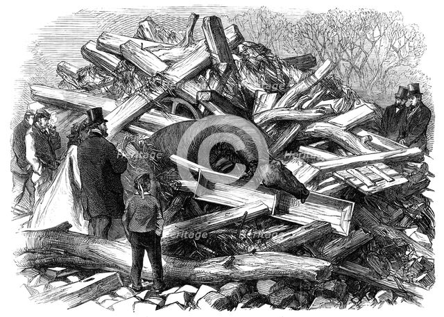 Illustrations of the Flood at Sheffield: scene in a garden at Hillsborough, 1864. Creator: Unknown.