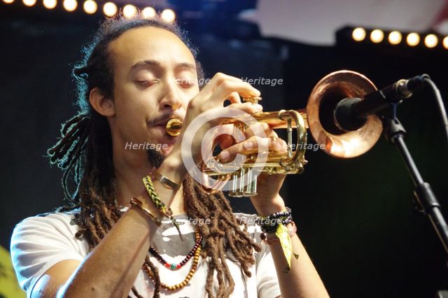 Irwin Hall, Love Supreme Jazz Festival, Glynde Place, East Sussex, 2015. Artist: Brian O'Connor.