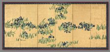 Irises, 1700s. Creator: Watanabe Shik? (Japanese, 1683-1755)