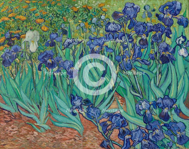 Irises, 1889. Creator: Vincent van Gogh.