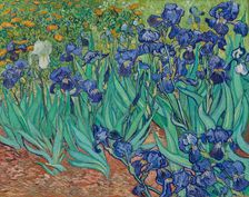 Irises, 1889. Creator: Vincent van Gogh