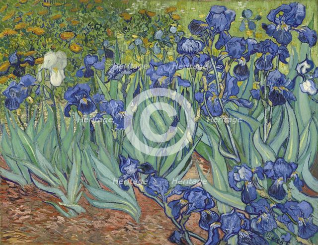 Irises, 1889. Artist: Gogh, Vincent, van (1853-1890)