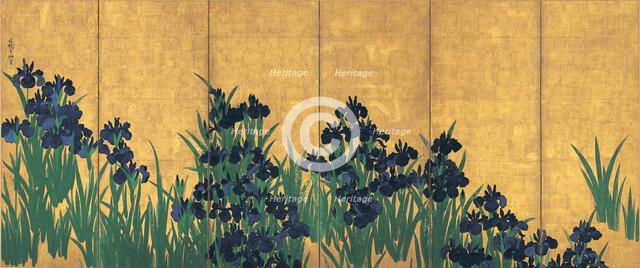 Irises, 18th century.