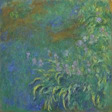 Irises, 1914/17. Creator: Claude Monet