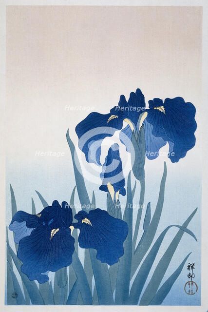Irises, 1925-1936. Creator: Ohara, Koson (1877-1945).