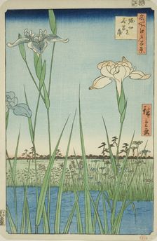 Irises at Horikiri (Horikiri no hanashobu), from the series "One Hundred Famous Views..., 1857. Creator: Ando Hiroshige