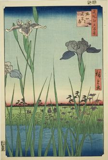 Irises at Horikiri (Horikiri no hanashobu), from the series "One Hundred Famous Views of..., 1857. Creator: Ando Hiroshige