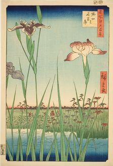 Irises at Horikiri (Horikiri no hanashobu), from the series "One Hundred Famous Views of..., 1857. Creator: Ando Hiroshige