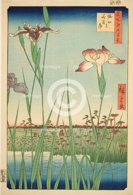 Irises at Horikiri (Horikiri no hanashobu), from the series "One Hundred Famous Views of..., 1857. Creator: Ando Hiroshige.
