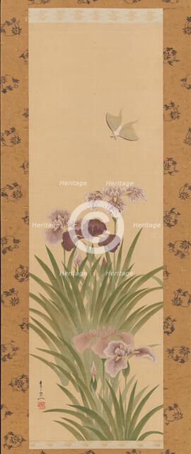 Irises and Moth, ca. 1850. Creator: Suzuki Kiitsu.