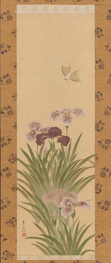 Irises and Moth, ca. 1850. Creator: Suzuki Kiitsu