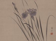 Irises sway in the wind, . Creator: Kansai; Mori (1814-1894)