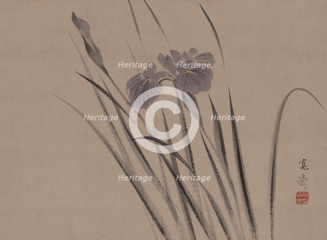 Irises sway in the wind, . Creator: Kansai; Mori (1814-1894).