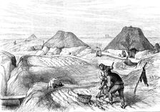 Irish Sketches: bog village, County Roscommon, 1880. Creator: Unknown