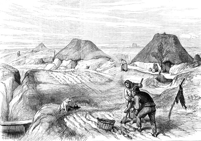 Irish Sketches: bog village, County Roscommon, 1880. Creator: Unknown.