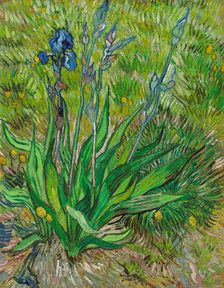 Iris, 1890. Creator: Gogh, Vincent, van (1853-1890)