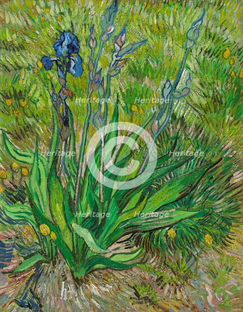 Iris, 1890. Creator: Gogh, Vincent, van (1853-1890).