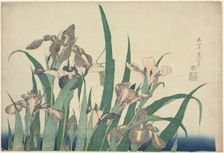 Iris and Grasshopper, from an untitled series of large flowers, Japan, c. 1833/34. Creator: Hokusai