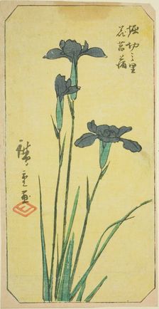 Iris at Horikiri Village (Horikiri no sato hanashobu), section of a sheet from the series ..., 1857. Creator: Ando Hiroshige