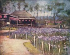 Iris Garden c1887, (1901). Artist: Mortimer L Menpes