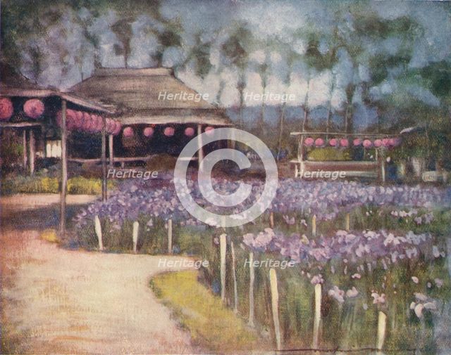 'Iris Garden', c1887, (1901). Artist: Mortimer L Menpes.