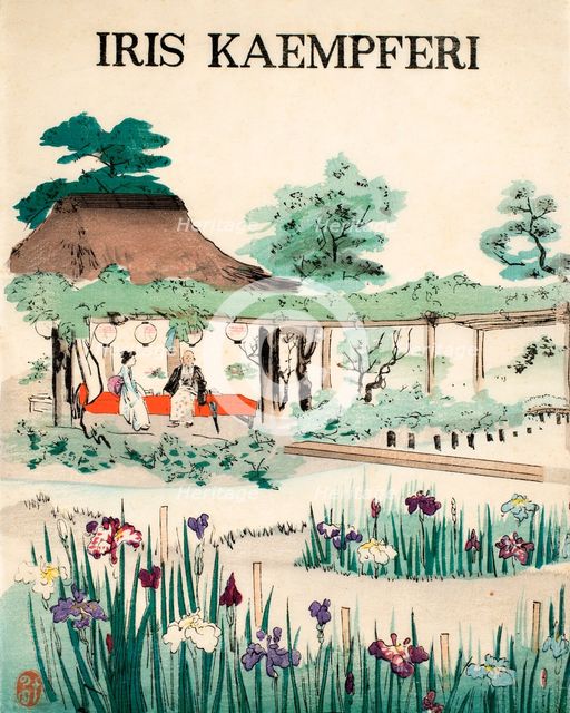 Iris Kaempferi - Front Cover, 1890, (colour woodblock print)