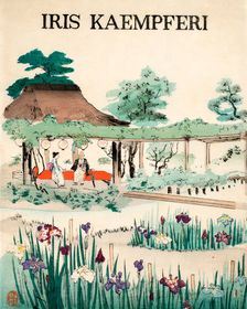 Iris Kaempferi - Front Cover, 1890, (colour woodblock print)
