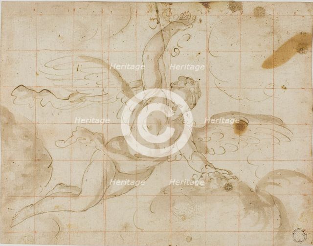 Iris, n.d. Creator: Unknown.