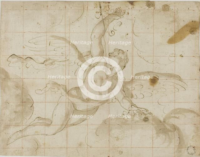 Iris, n.d. Creator: Unknown.