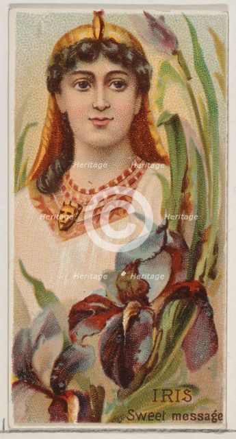 Iris: Sweet Message, from the series Floral Beauties and Language of Flowers (N75) for Duk..., 1892. Creator: Donaldson Brothers.